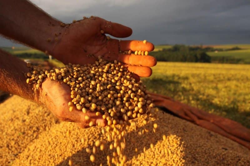 Agronegócio no Brasil: região sul se consolida como zona estratégica ...