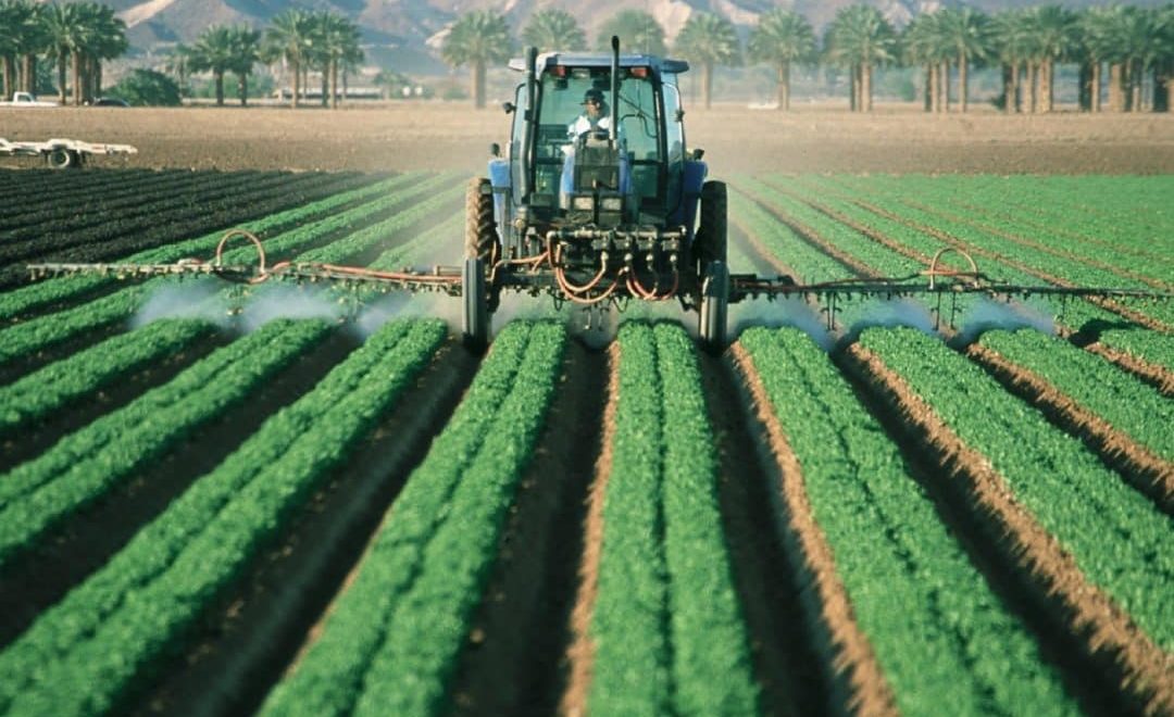 Agricultura na região Sudeste: zona tem papel importante no agro nacional