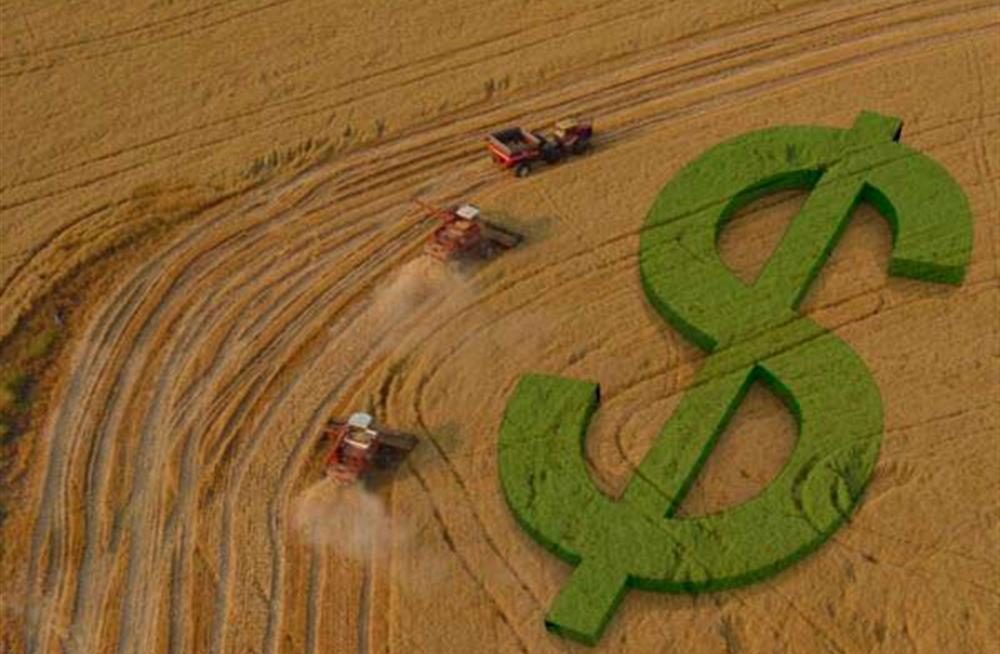 crescimento economico do agronegocio
