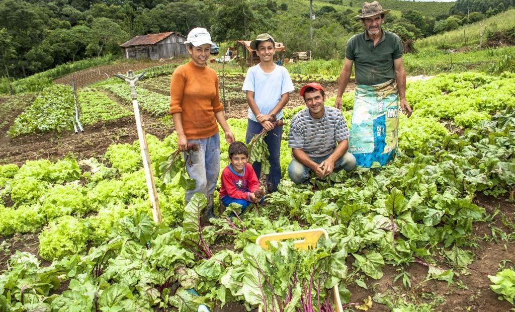 Agricultura Familiar: por que ela é importante para o nosso país?