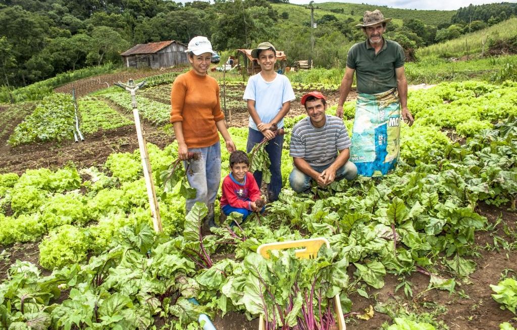 Família de agricultores na horta própria