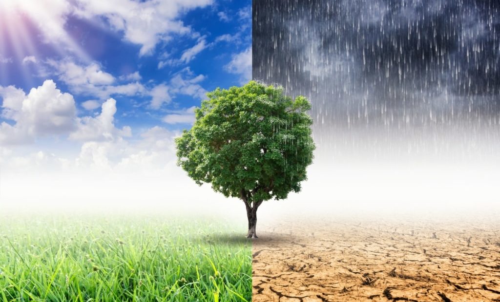 Clima x Tempo: Entenda as diferenças