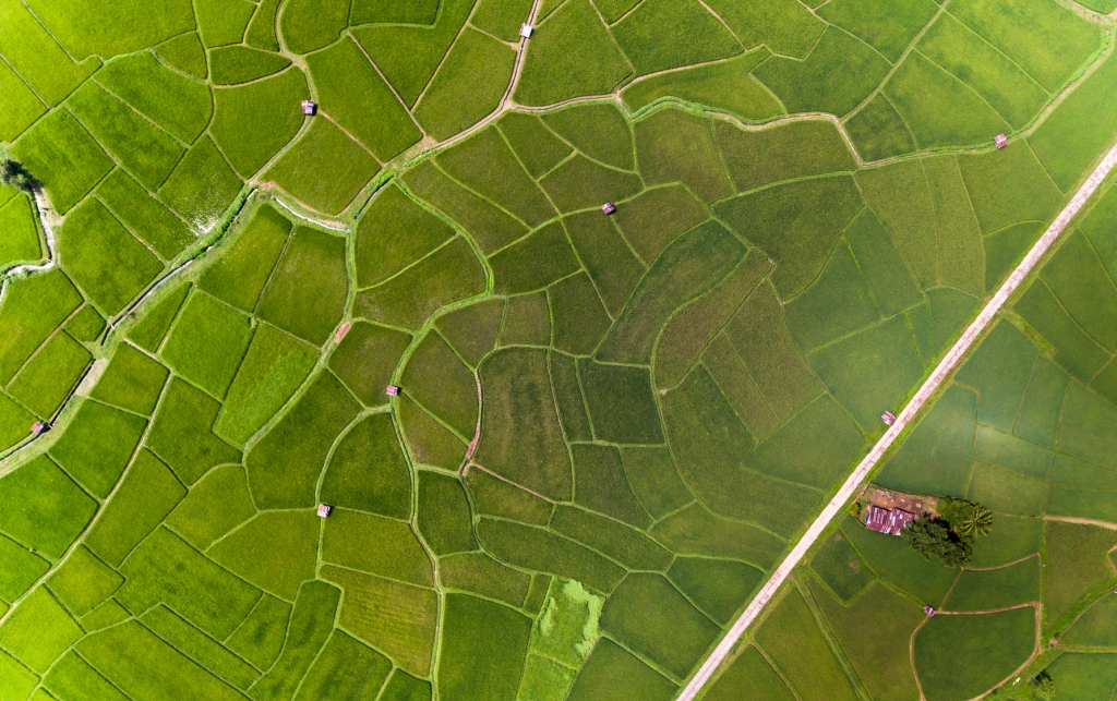 Vista aérea de fazenda dividida em lotes