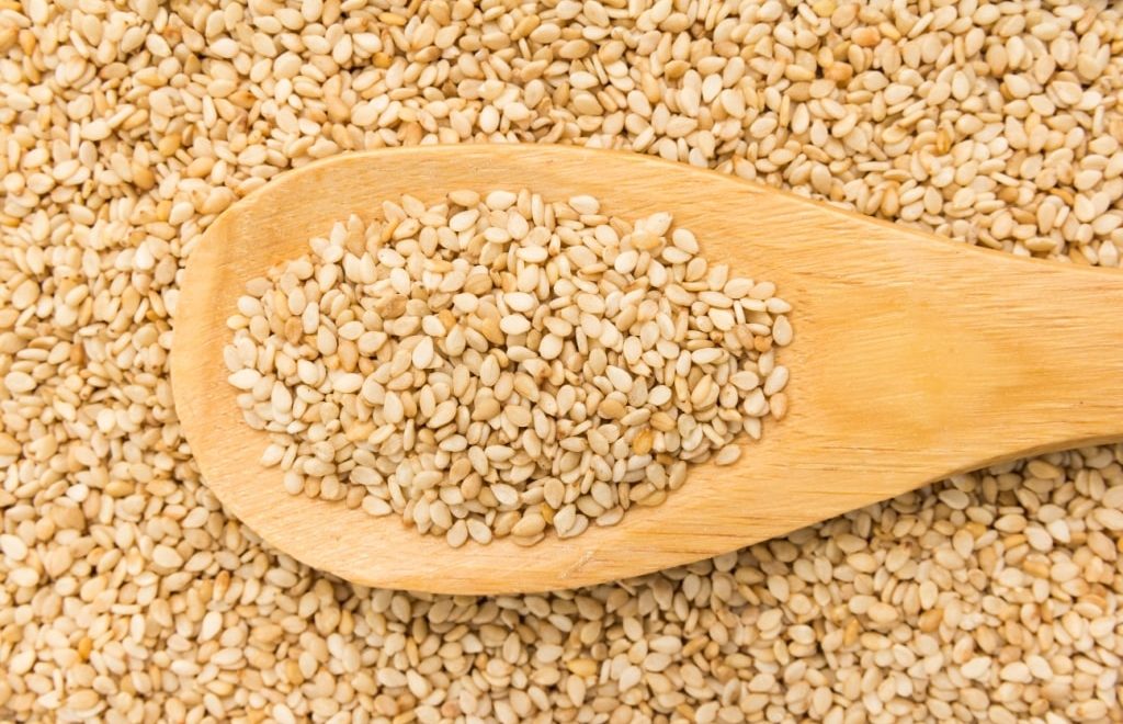 O Brasil começará a exportar gergelim para a Índia e importará sementes de milho
