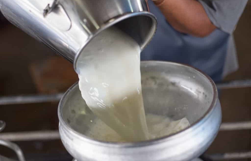 Os desafios na produção de leite no Brasil