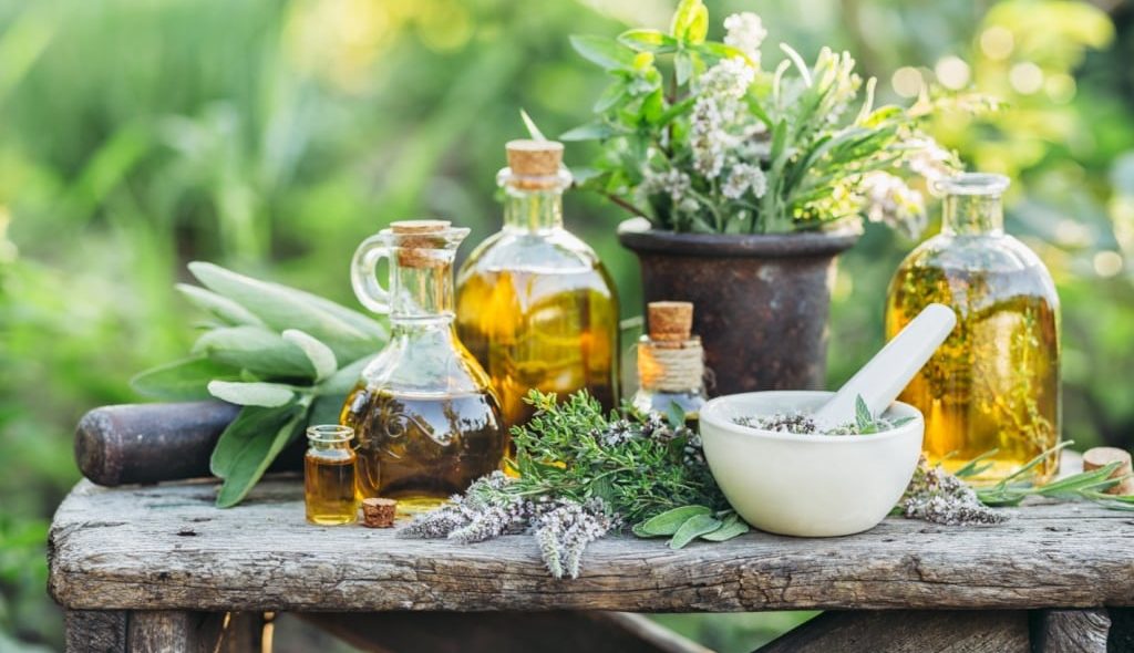 Plantas medicinais em uma mesa velha com óleos e potes
