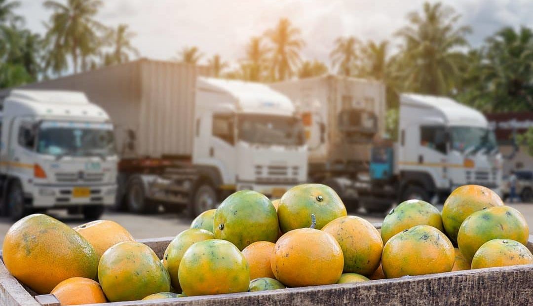 Qual o melhor caminhão para o transporte no setor agropecuário?