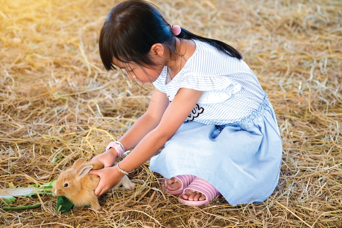 Criança segurando coelho com as mãos