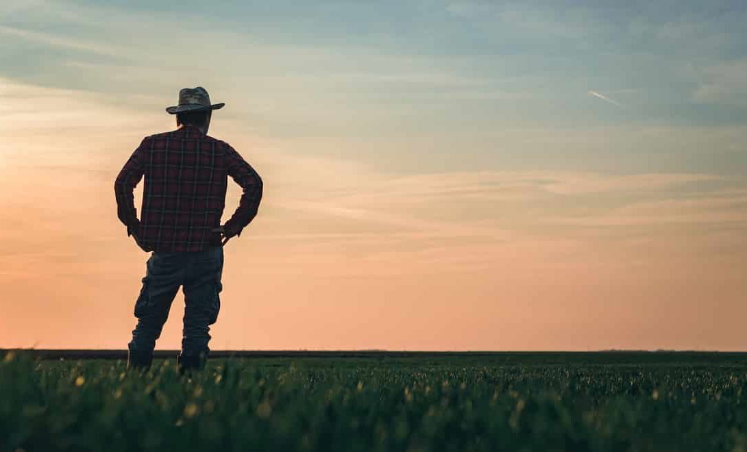 Conheça os 6 principais erros na gestão da fazenda