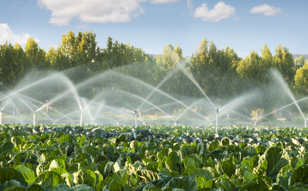 Sistemas de irrigação por aspersão