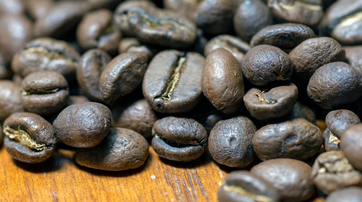 Grãos secos de café arábica (coffea arábica) e conilon (coffea