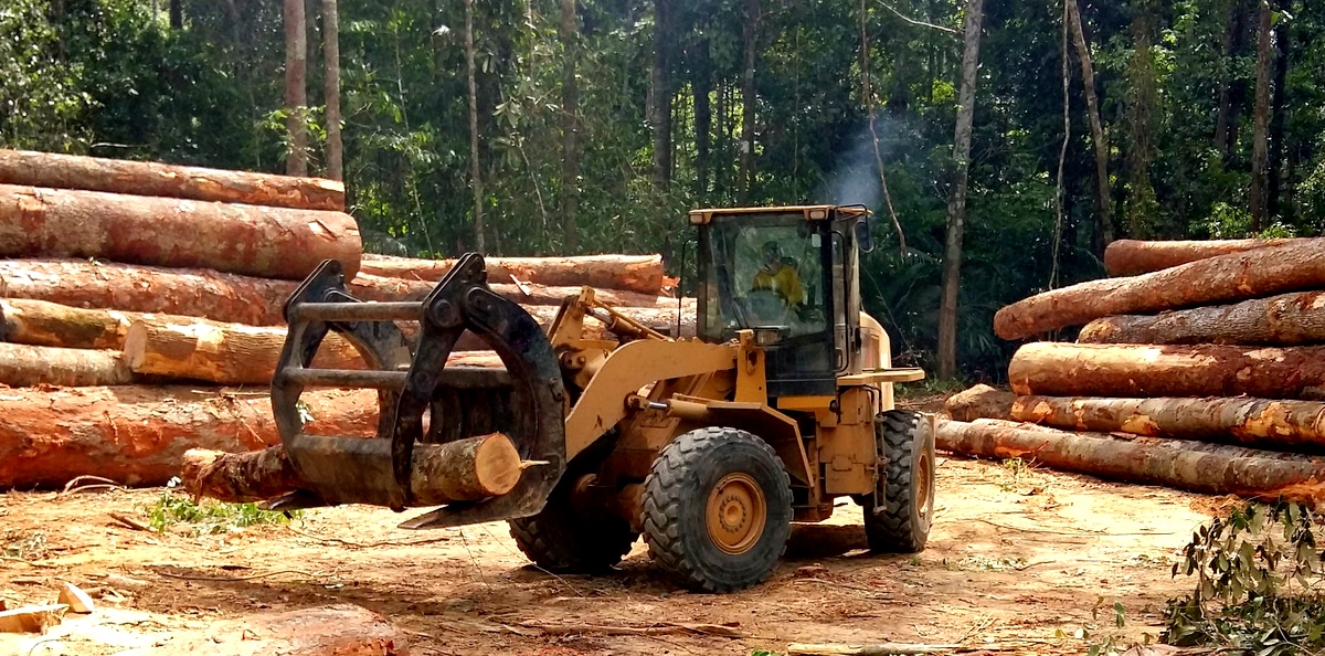 Trator de pneus transportando tora de madeira