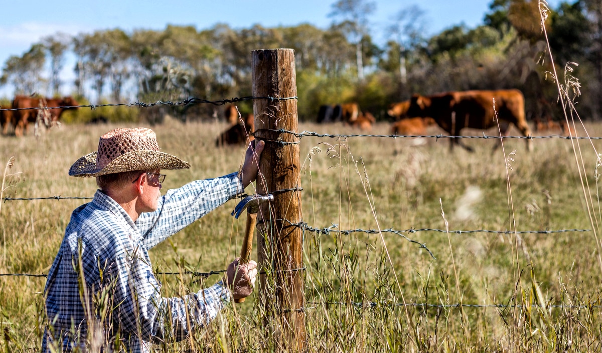 Homem fazendo manutenção de uma cerca