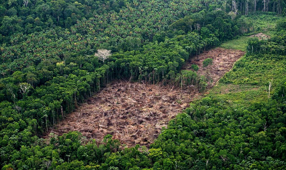 Área de desmatamento na Amazônia