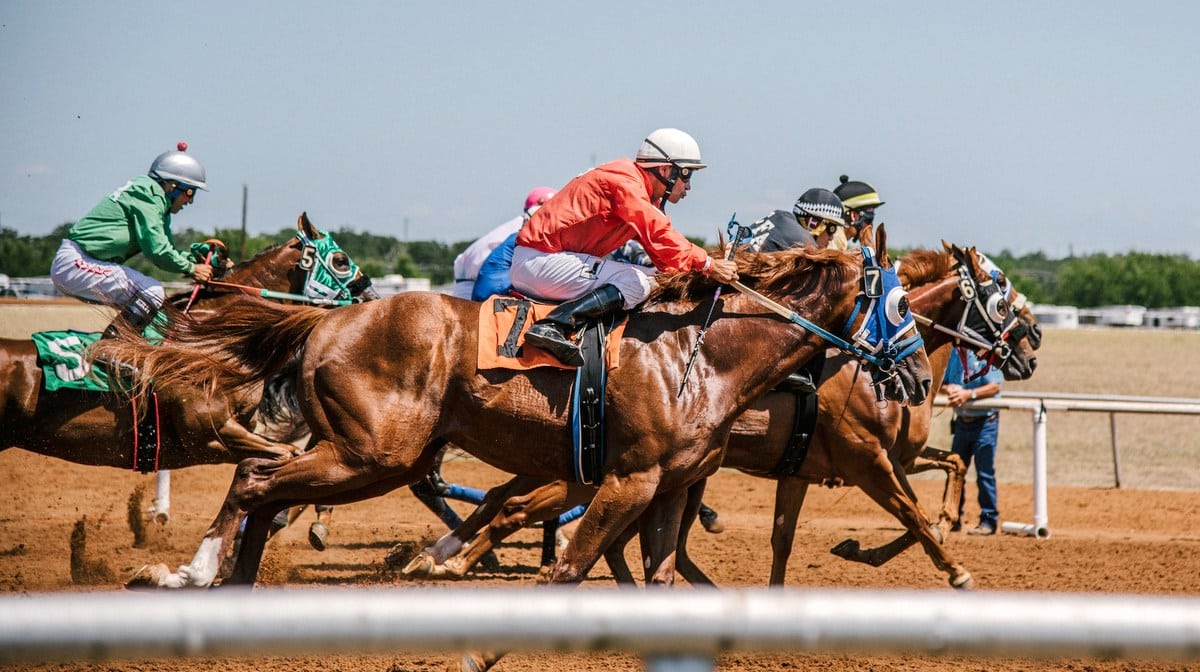 Competição envolvendo cavalos e o bem-estar dos animais