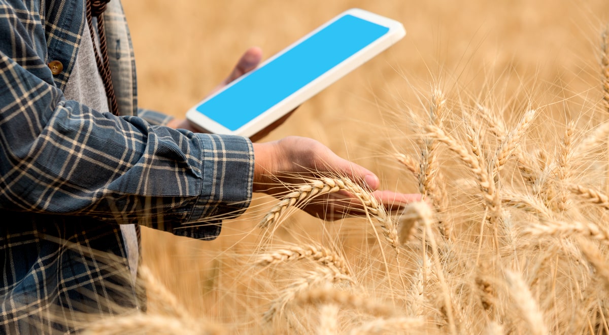 Agricultura com investimento em tecnologia