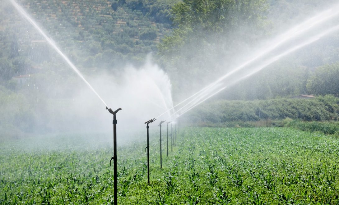 Irrigação e segurança alimentar: qual o papel da eficiência?