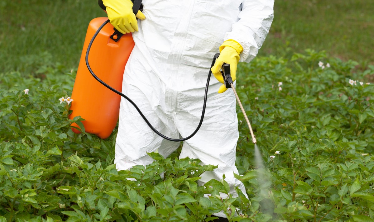 Uso de herbicidas para combater plantas daninhas