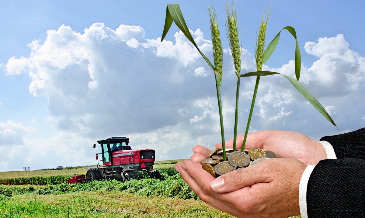 Plano Collor rural reinvestimento na lavoura