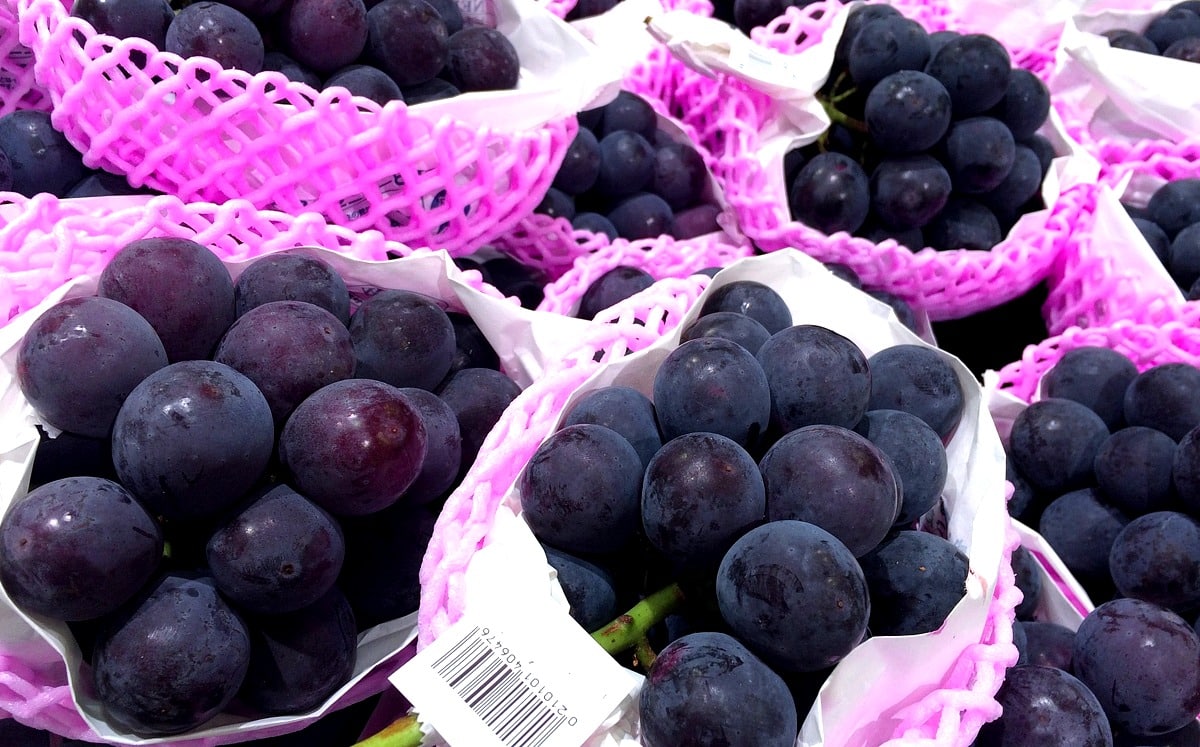 Consumo in natura de uva