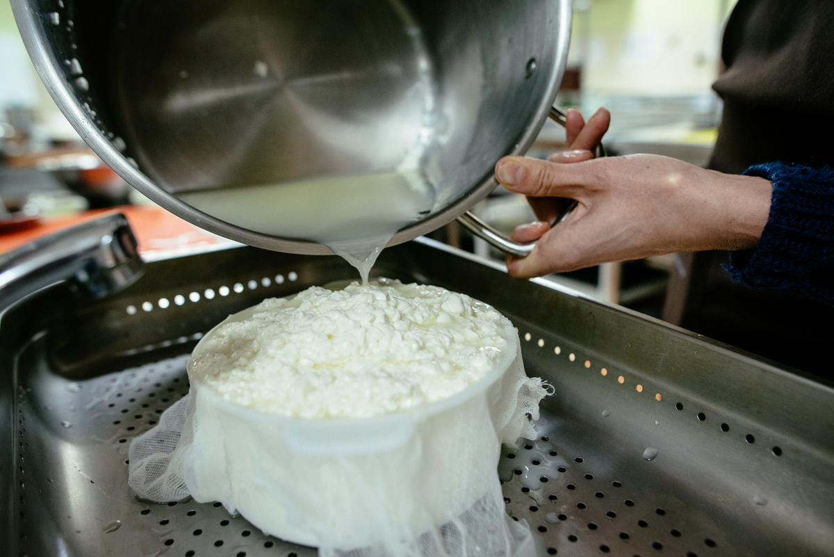 Produção de queijo artesanal