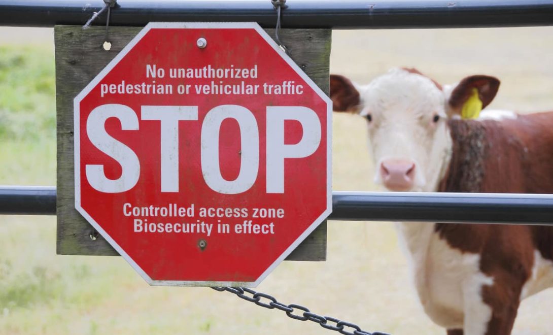 Placa de zona de acesso controlado para controle de zoonose, controle de tuberculose bovina