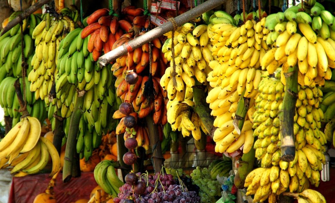 Tipos de banana: conheça os mais comuns no Brasil
