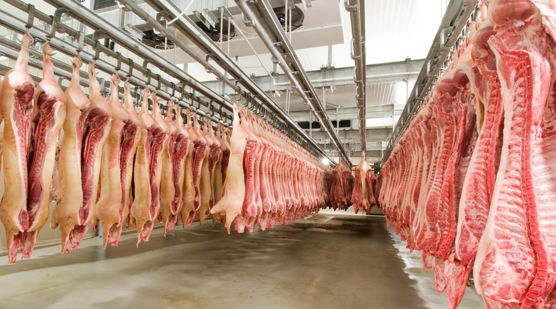 Carne suína: produção cresce e se consolida no Brasil