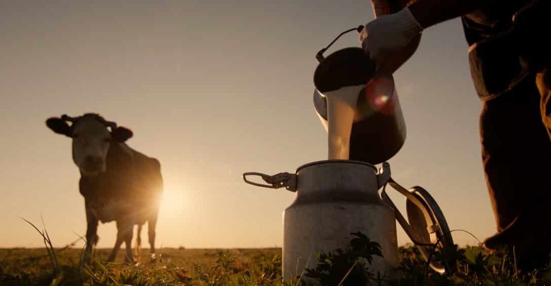 Importância da atividade de bovinocultura de leite