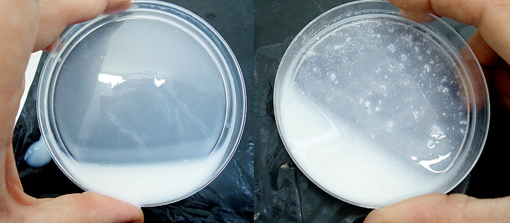 Imagem comparativa do resultado do teste do álcool: a esquerda, o leite estável, a direita, o leite LINA.