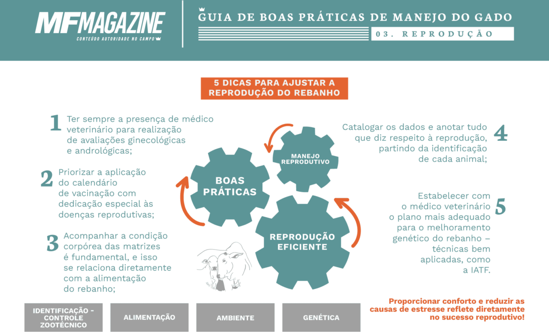 Guia de Boas Práticas de Manejo do Gado - foco em Reprodução. Infográfico preparado pelo MF Rural.
