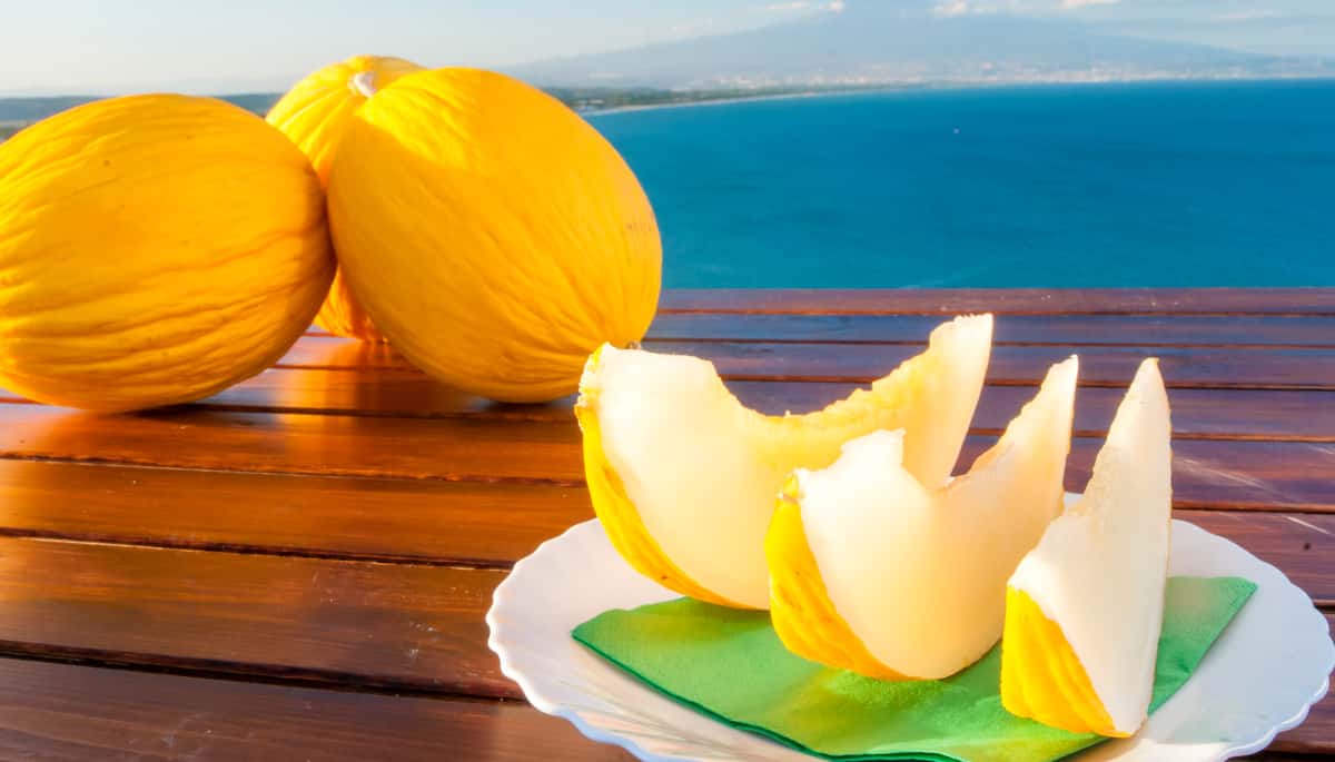 Melões amarelos inteiros sobre mesa de madeira, com fatias de melão em um prato branco, com mar ao fundo