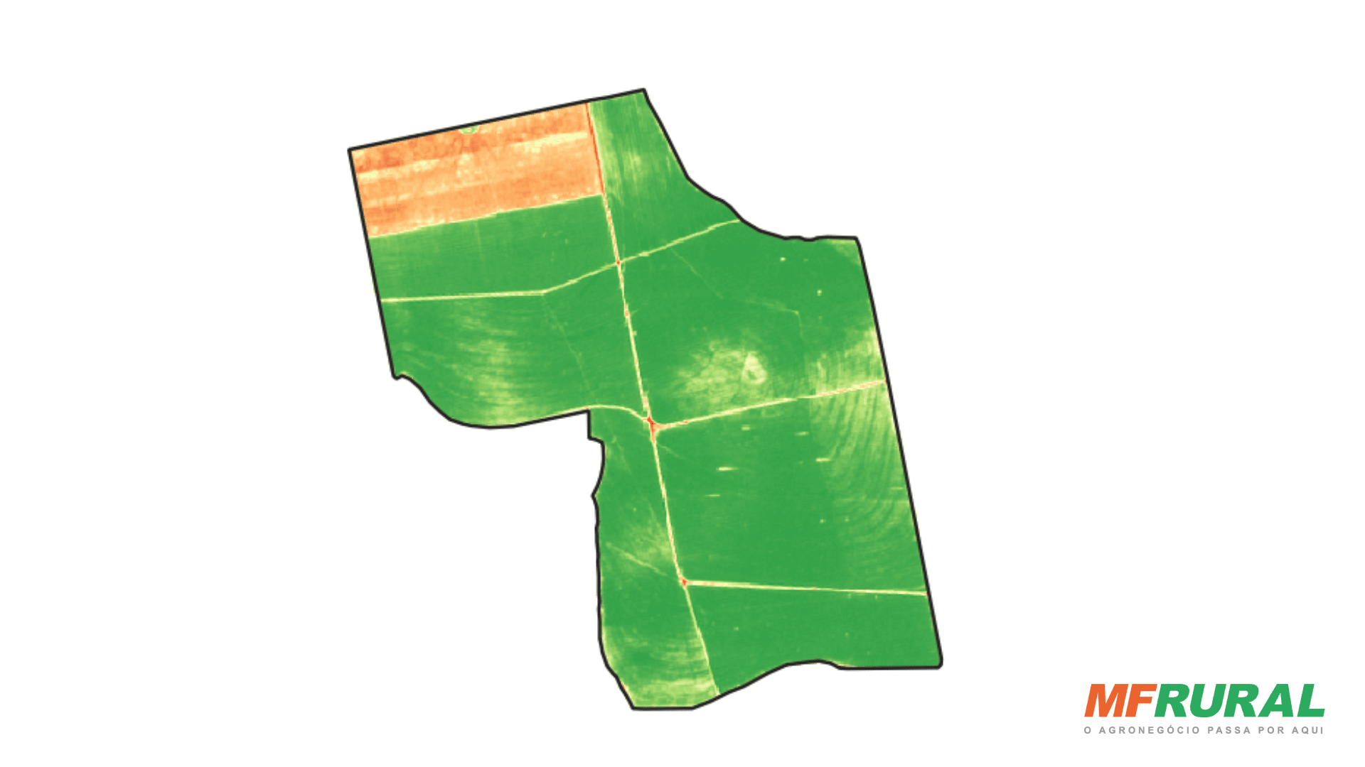 Mapa NDVI de fazenda com divisões de talhões e pontos com e sem vegetação.