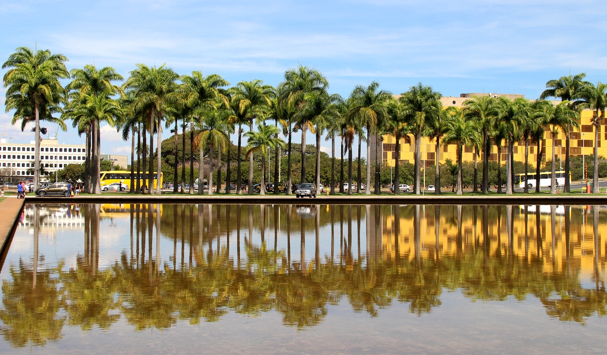 Corredor de palmeiras imperiais entre lago artificial e estruturas prediais