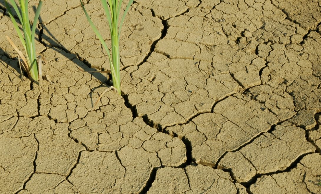 Solo com rachaduras por estar demasiadamente seco, demonstrando um exemplo de degradação dos solos