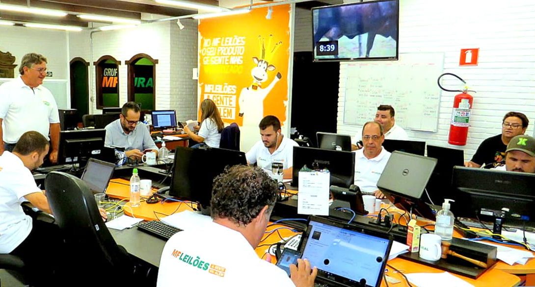 Grupo MF Rural é pioneiro em leilões online no Brasil