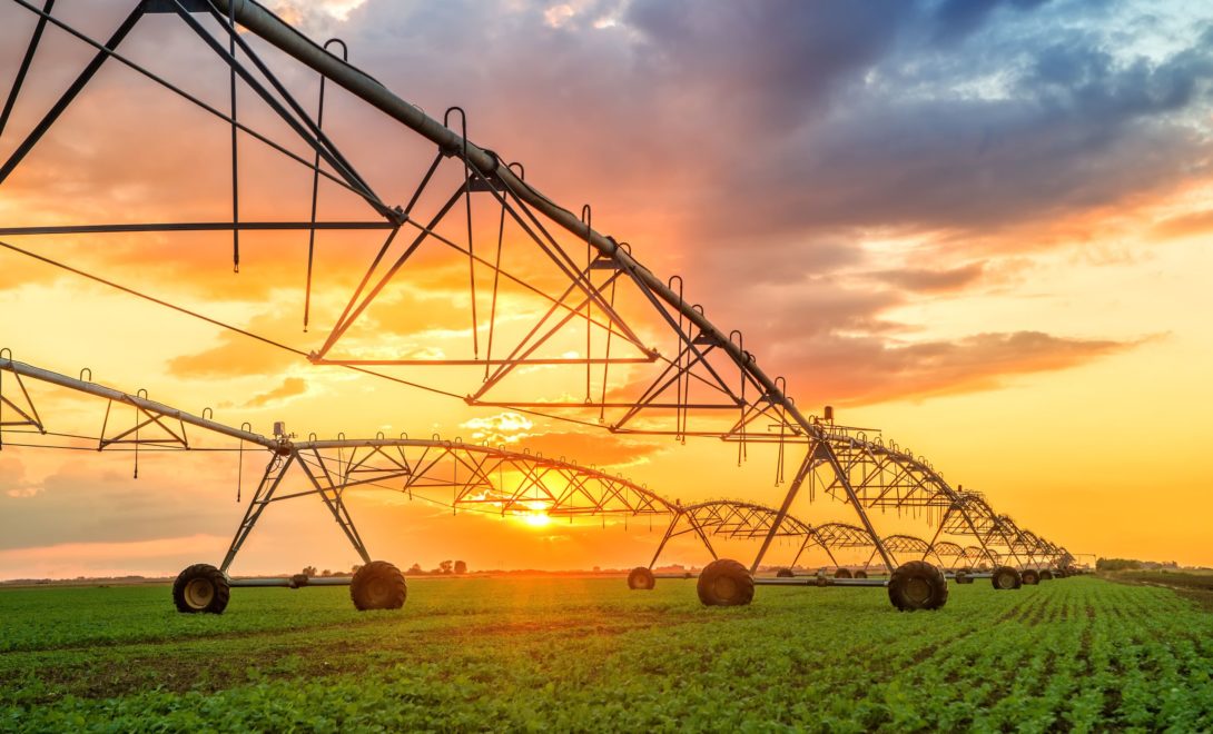 Entenda como funciona a irrigação por aspersão e seus benefícios