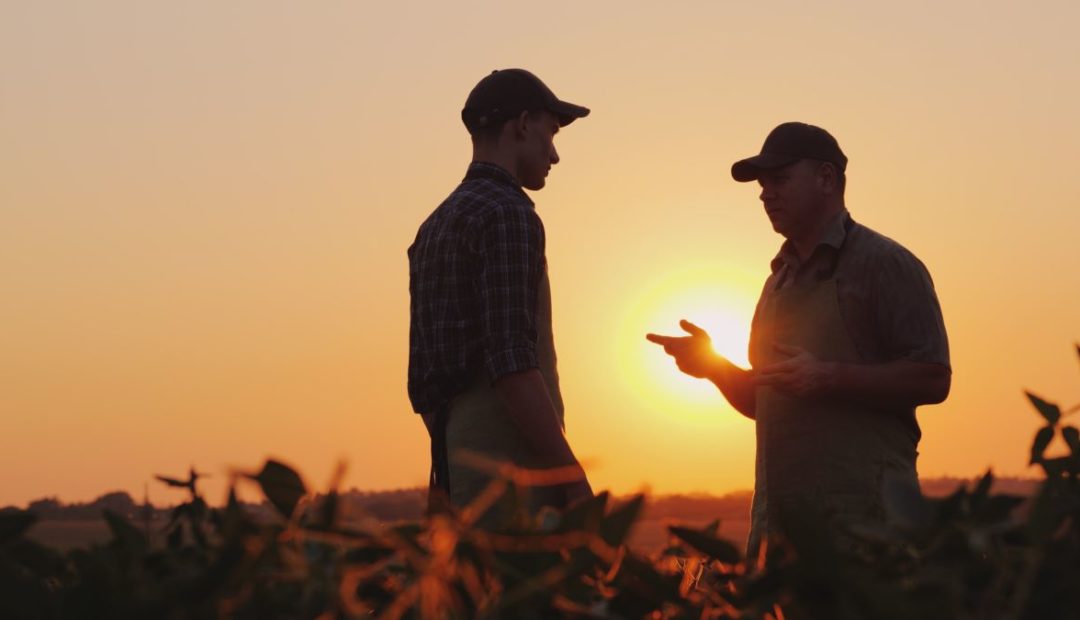 Dois homens conversando em meio a uma plantação. Aparentemente, um passa instruções ao outro. Ao fundo o sol está se pondo e deixa a imagem das pessoas escura.