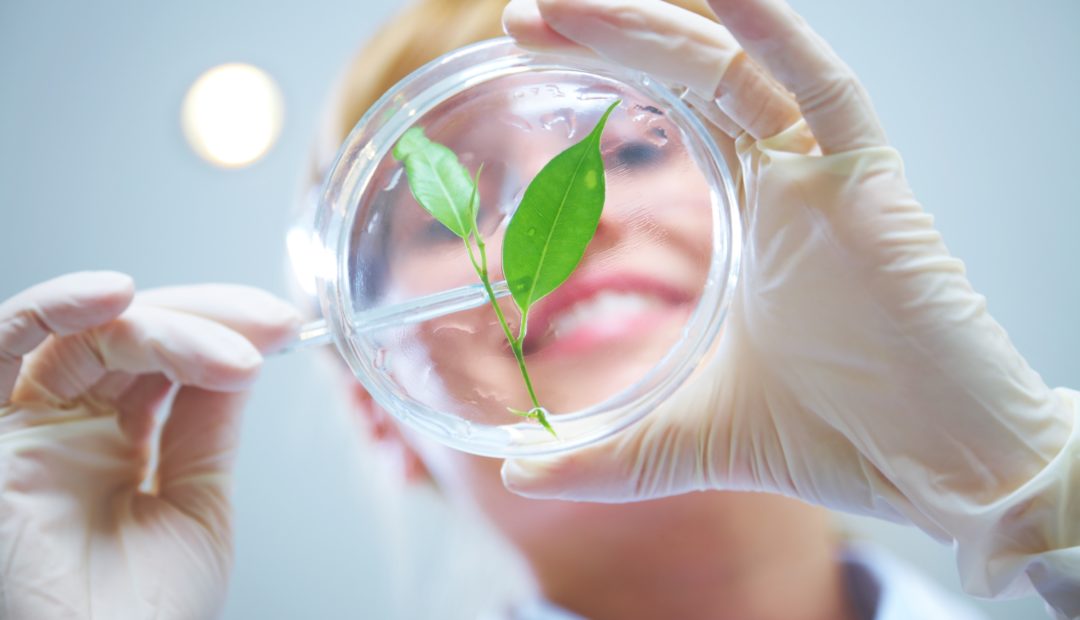 Entenda o que são biodefensivos e quais suas vantagens