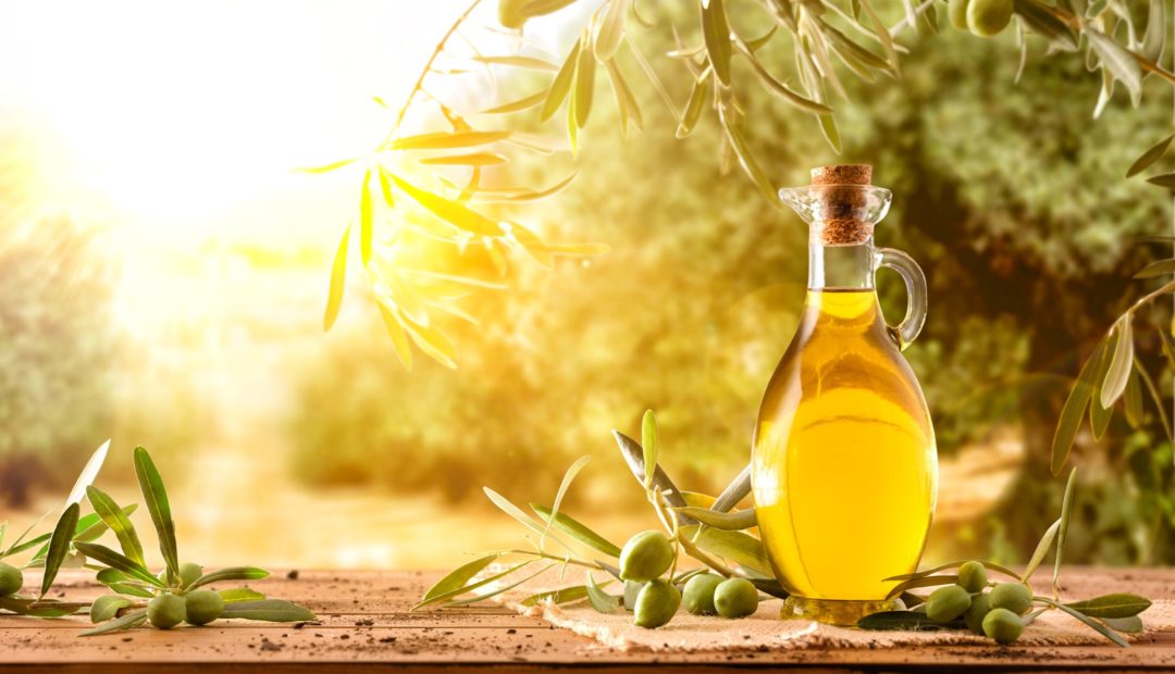 Frasco de vidro com azeite de oliva fechado com rolha em cima de uma mesa de madeira com galhos de oliveira e azeitonas. Ao fundo, plantação de oliveiras com raio de sol ofuscando a imagem.