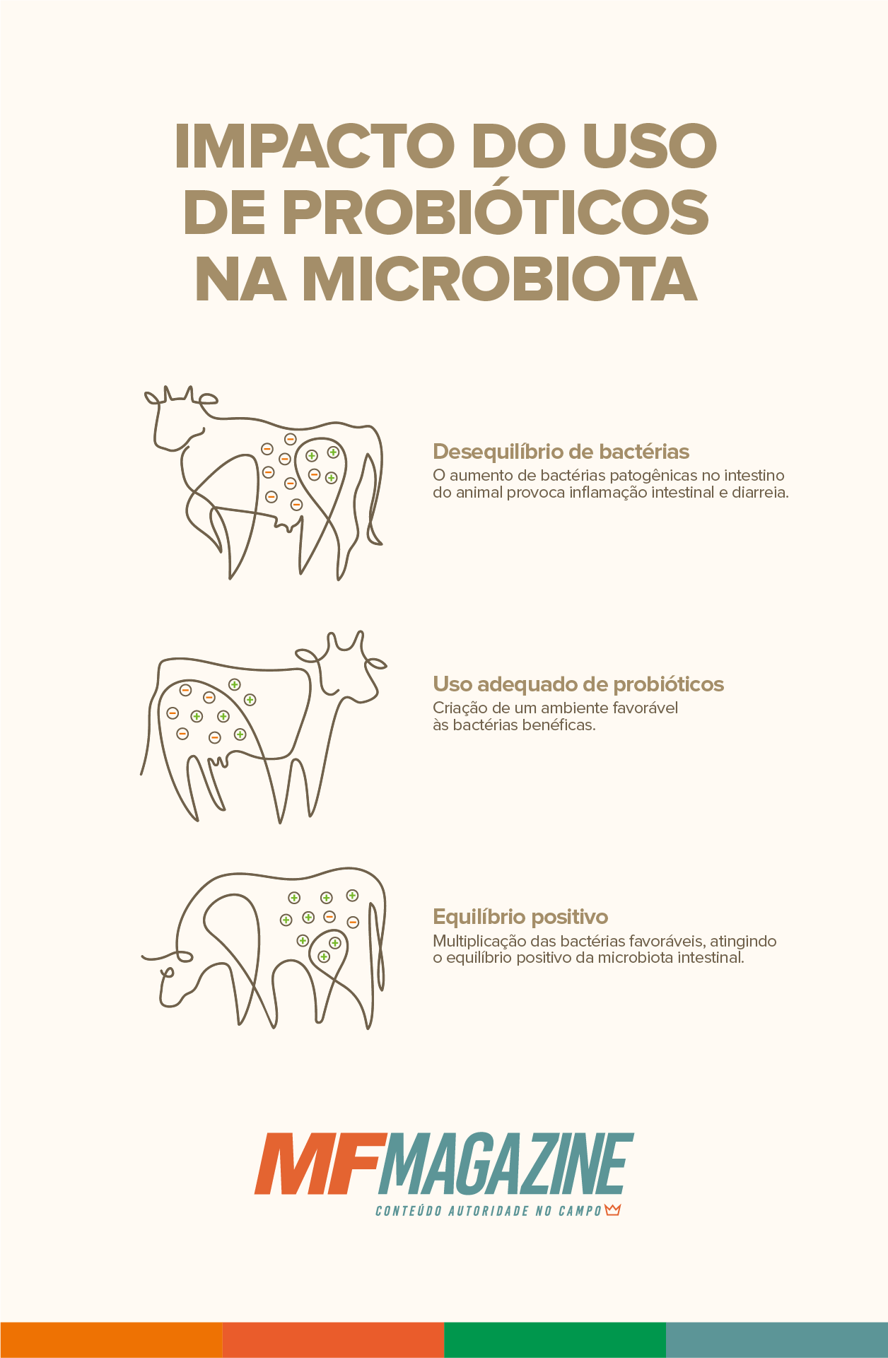 Infográfico demonstrando a evolução da composição da microbiota bovina de acordo com a administração de probióticos