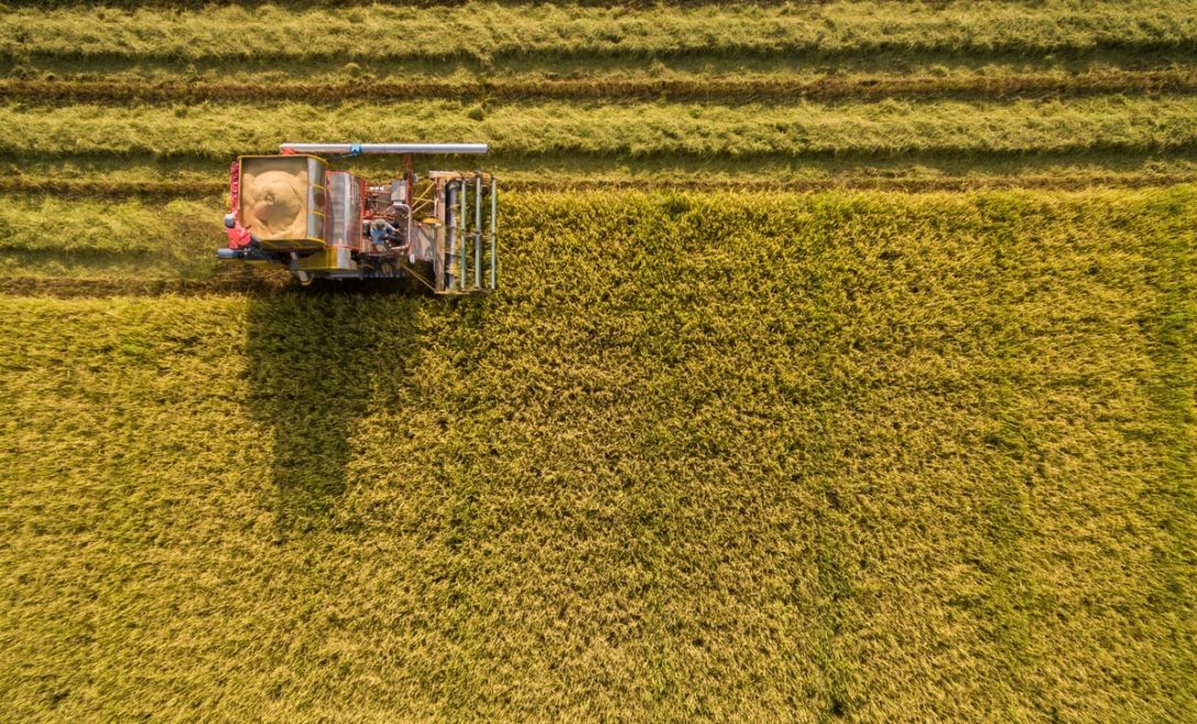 Vista aérea de colhedora realizando a colheita do arroz