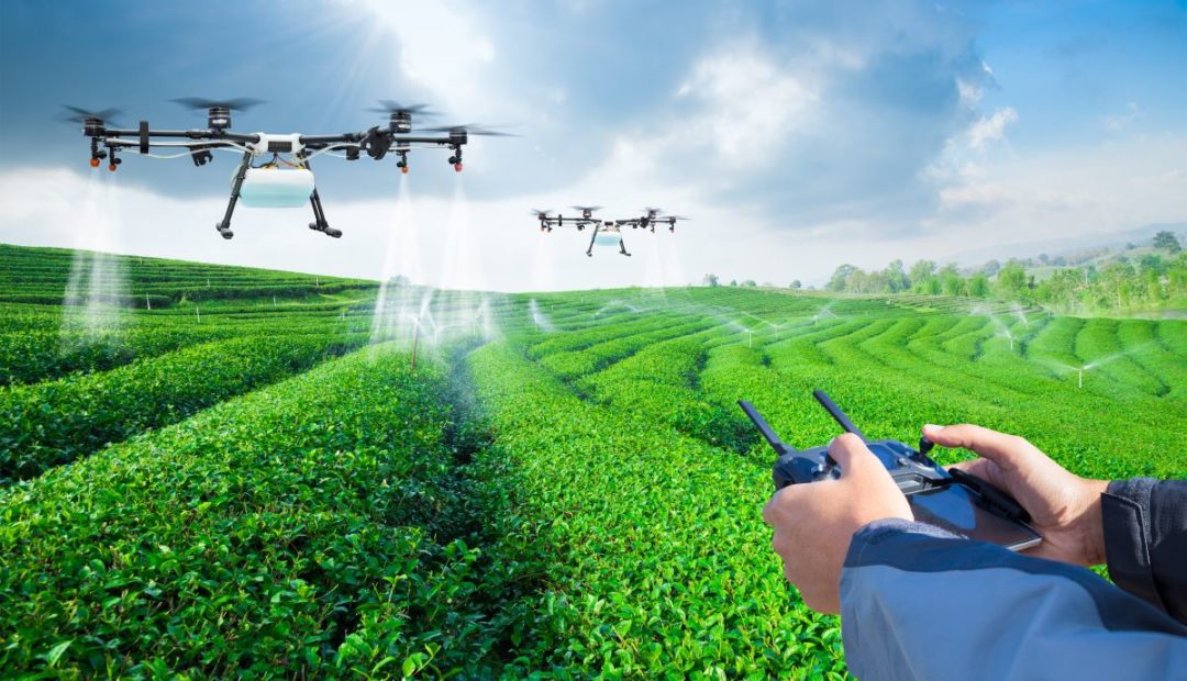 Drones pulverizadores sobre plantação durante aplicação. À direita, mãos de operador realizando o controle dos dispositivos.