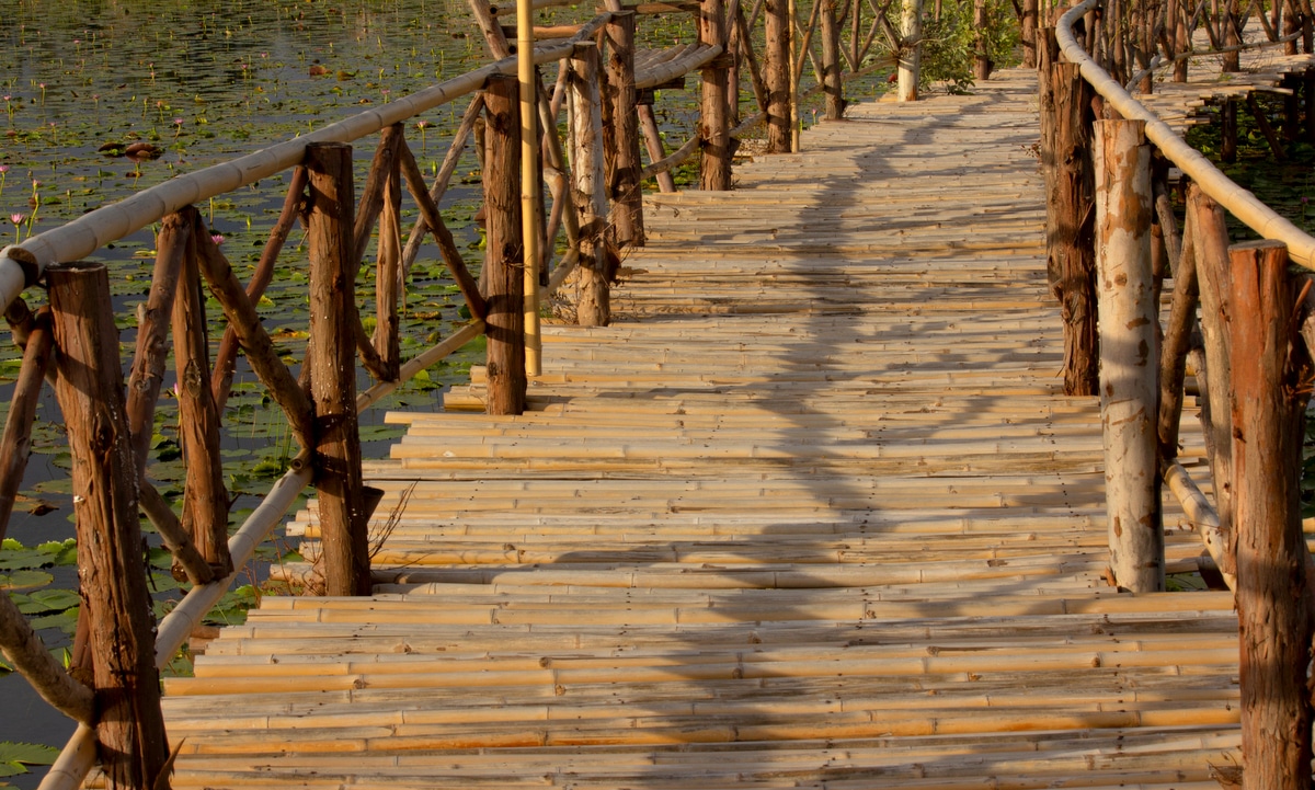 Ponte construída sobre riacho utilizando bambu.