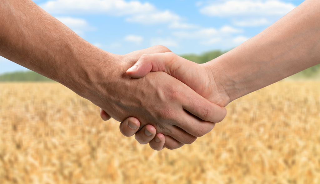 Duas mãos apertadas simulando o fechamento de um negócio. Ao fundo, plantação de trigo.