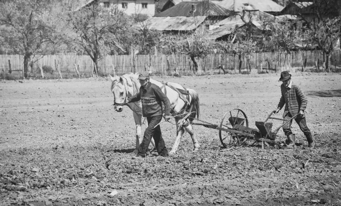 Imagem em preto e branco de dois senhores trabalhando em uma lavoura, um guiando um cavalo e outro empurrando uma carroça, demonstrando que antigamente as atividades agrícolas eram desempenhadas com auxílio de tração animal