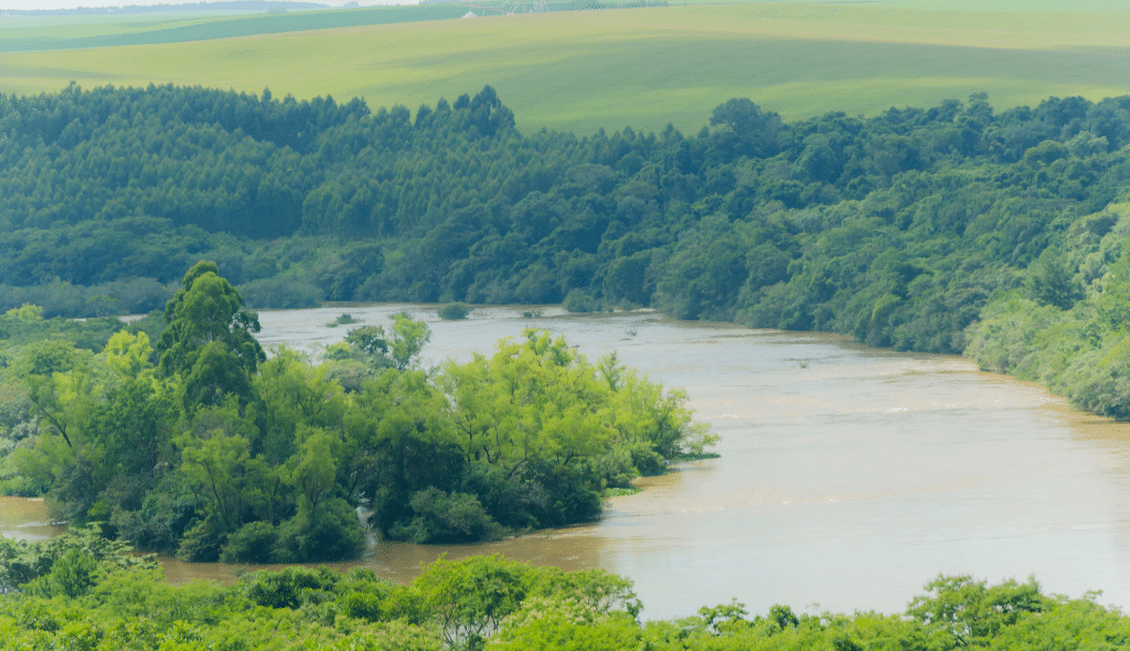 Visão panorâmica do rio Tibagi, com destaque para a mata ciliar