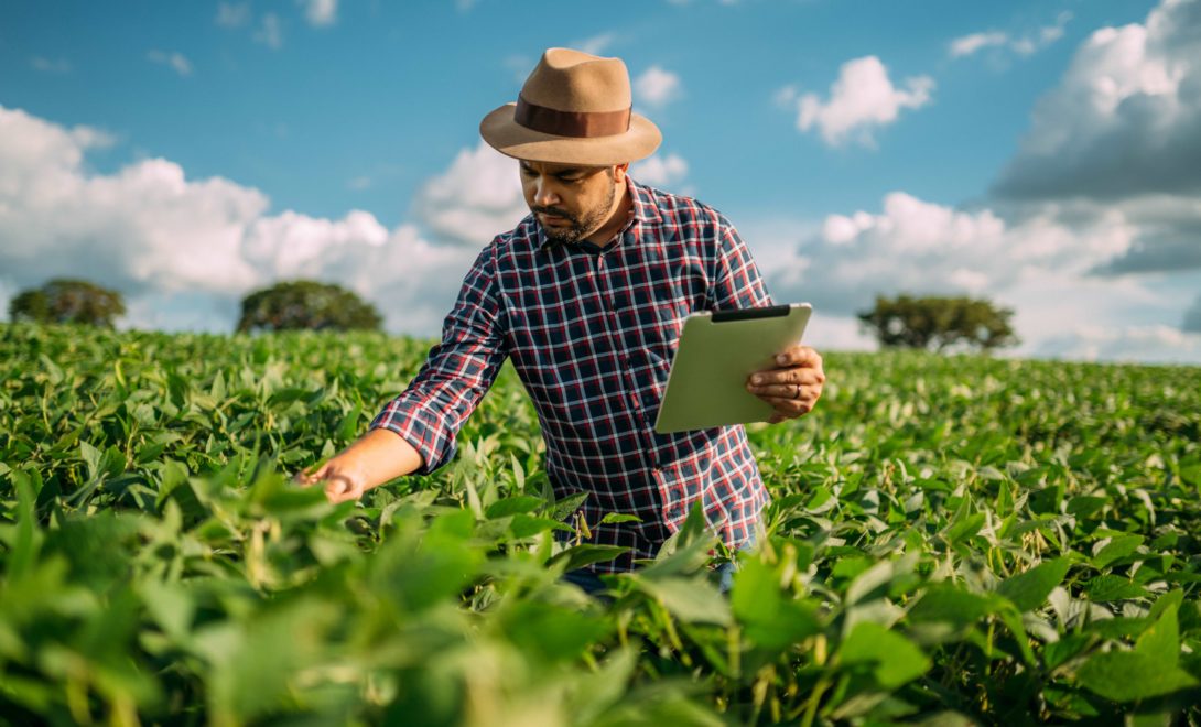 Homem em campo de soja analisando a cultura com um tablet em mãos