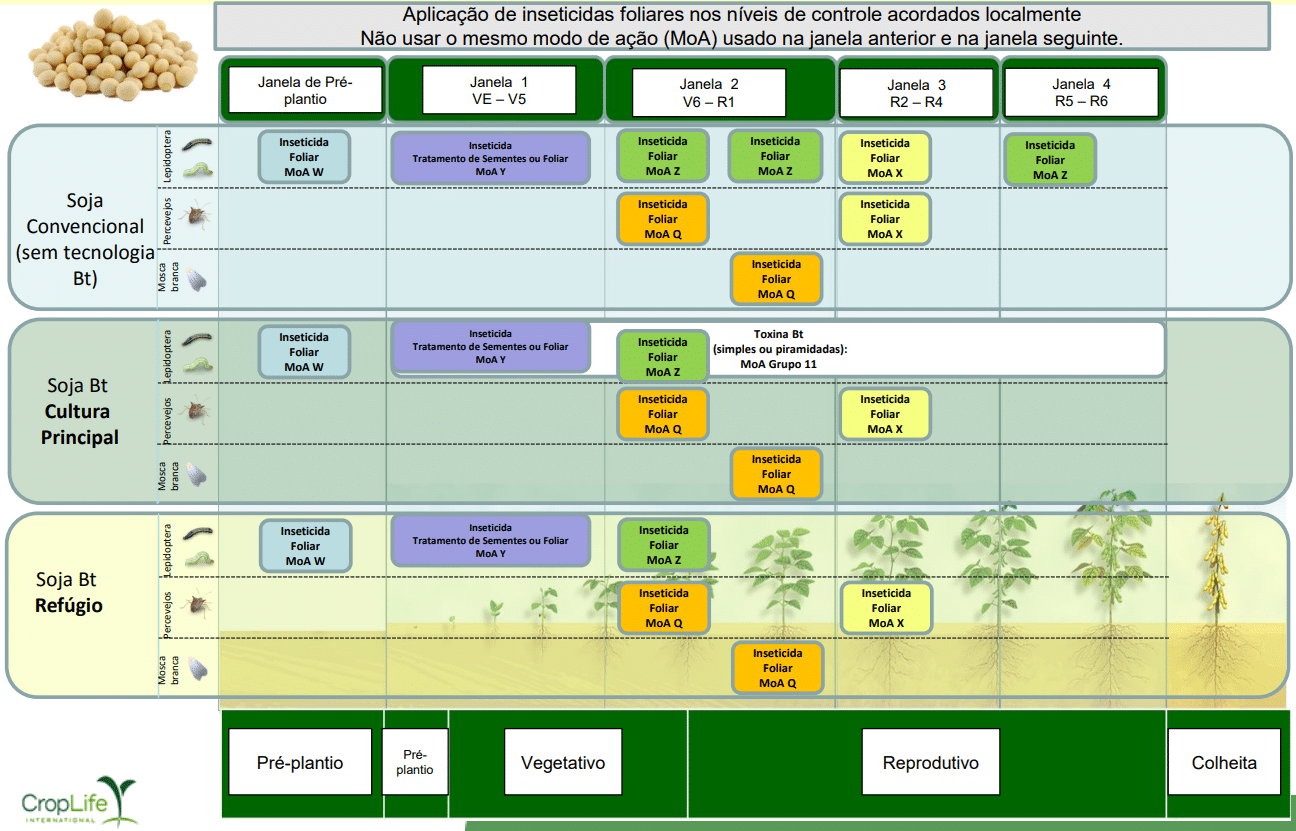 Recomendações de manejo com uso de fungicidas na cultura da soja, nas diferentes fases de desenvolvimento da cultura e em diferentes tecnologias (convencional, soja bt, e soja bt refúgio)