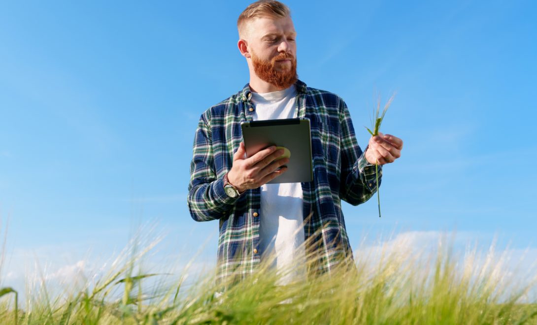 Homem em campo de trigo segurando tablet em uma mão e planta em outra, analisando a planta
